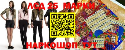 гидра Будённовск