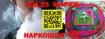 гидра Будённовск