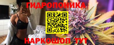 гидра Будённовск