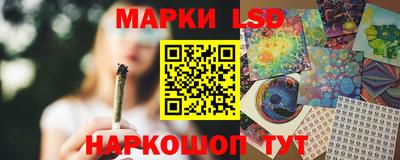 гидра Будённовск