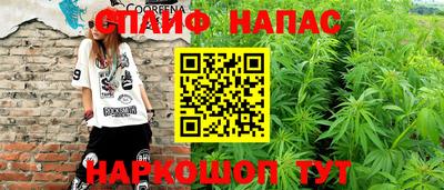 гидра Будённовск