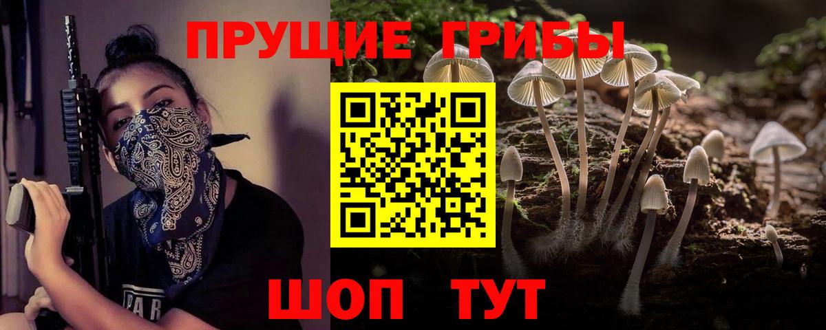 Псилоцибиновые грибы Magic Shrooms Копейск